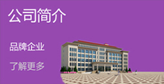 公司簡介